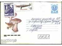 Traveled Envelope Mushroom Violet 1990 from Bulgaria