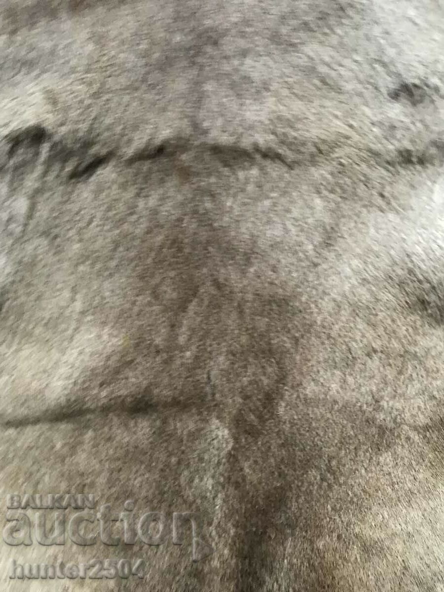 Roe deer-treated leather for wall 95/46 cm with price 84.95 BGN | € 43.43 Roe deer-treated leather for wall 95/46 cm with price 84.95 BGN | € 43.43