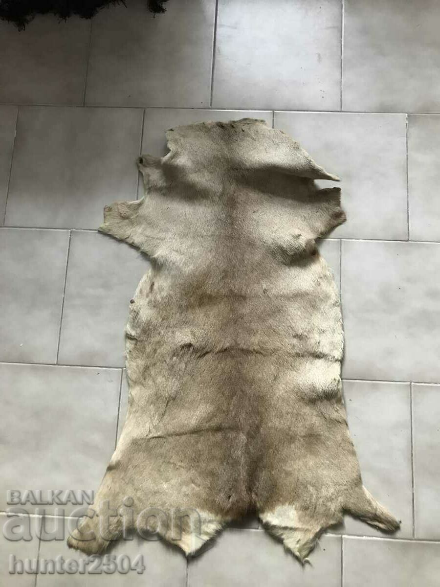 Roe deer-treated leather for wall 95/46 cm Roe deer-treated leather for wall 95/46 cm