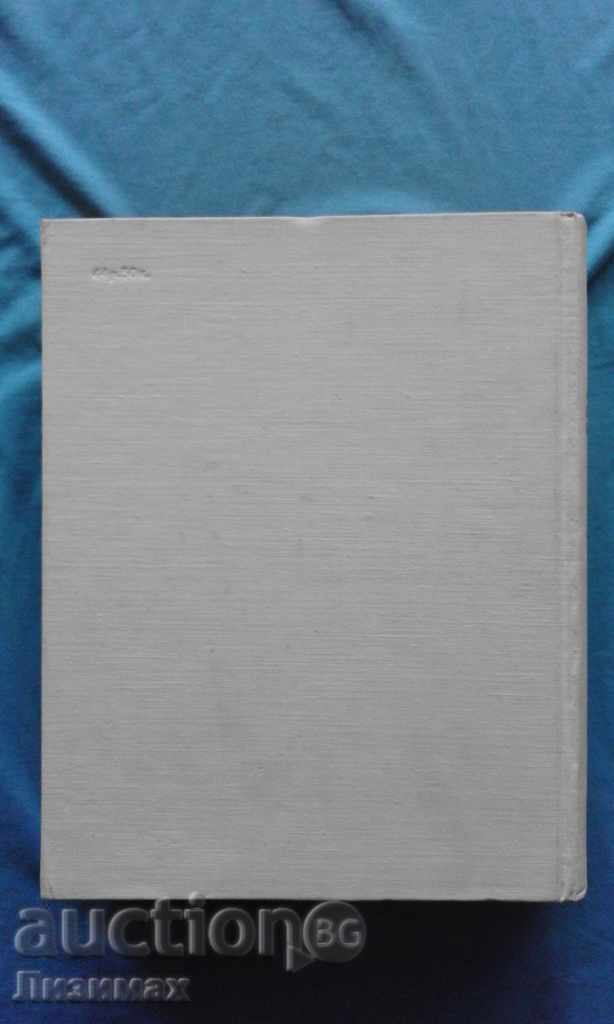 Licitație Arta rusă din cele mai vechi timpuri până la începutul secolului al XVIII-lea