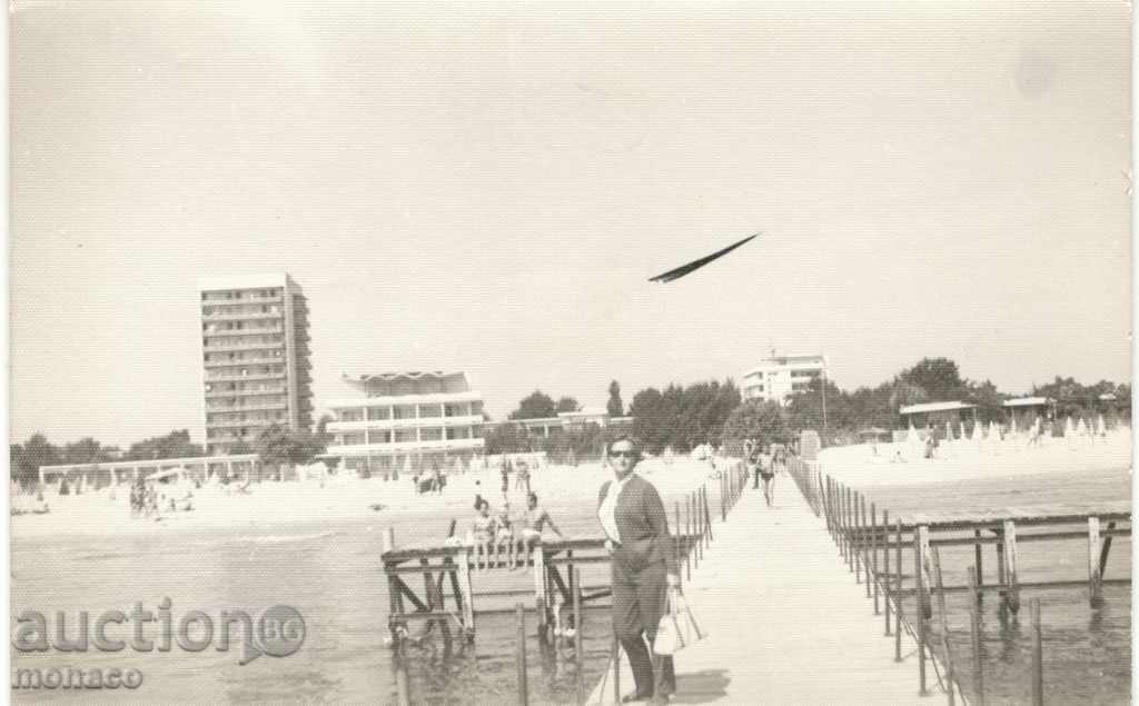 Old photo - Sunny Beach, General view