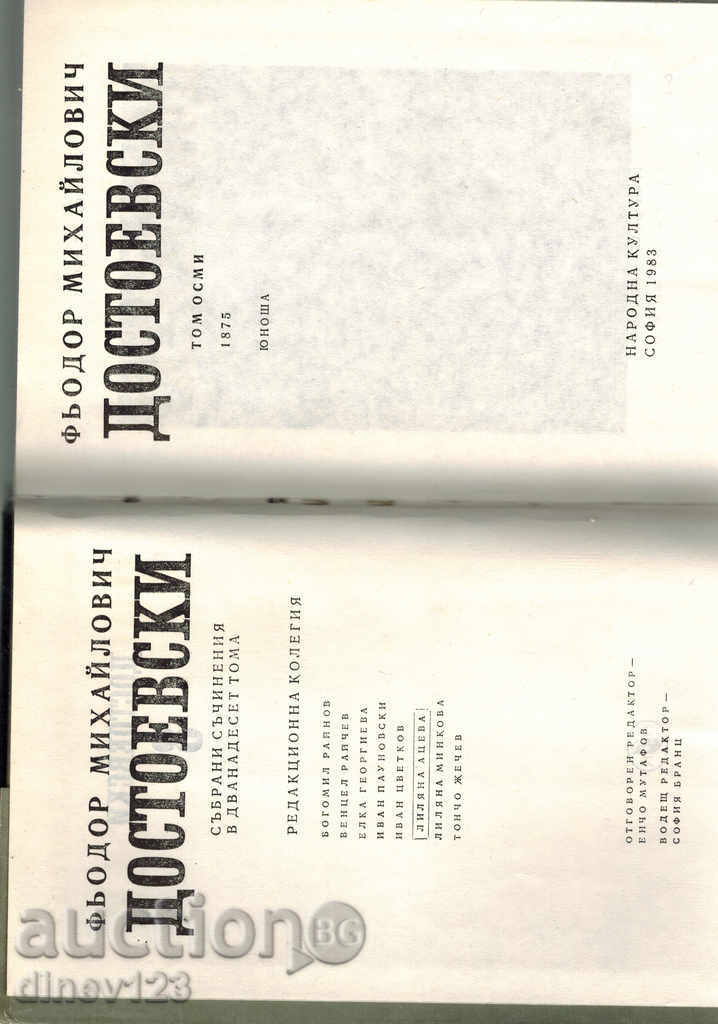 Licitație Dostoevsky T. 8 - adolescenți Licitație Dostoevsky T. 8 - adolescenți