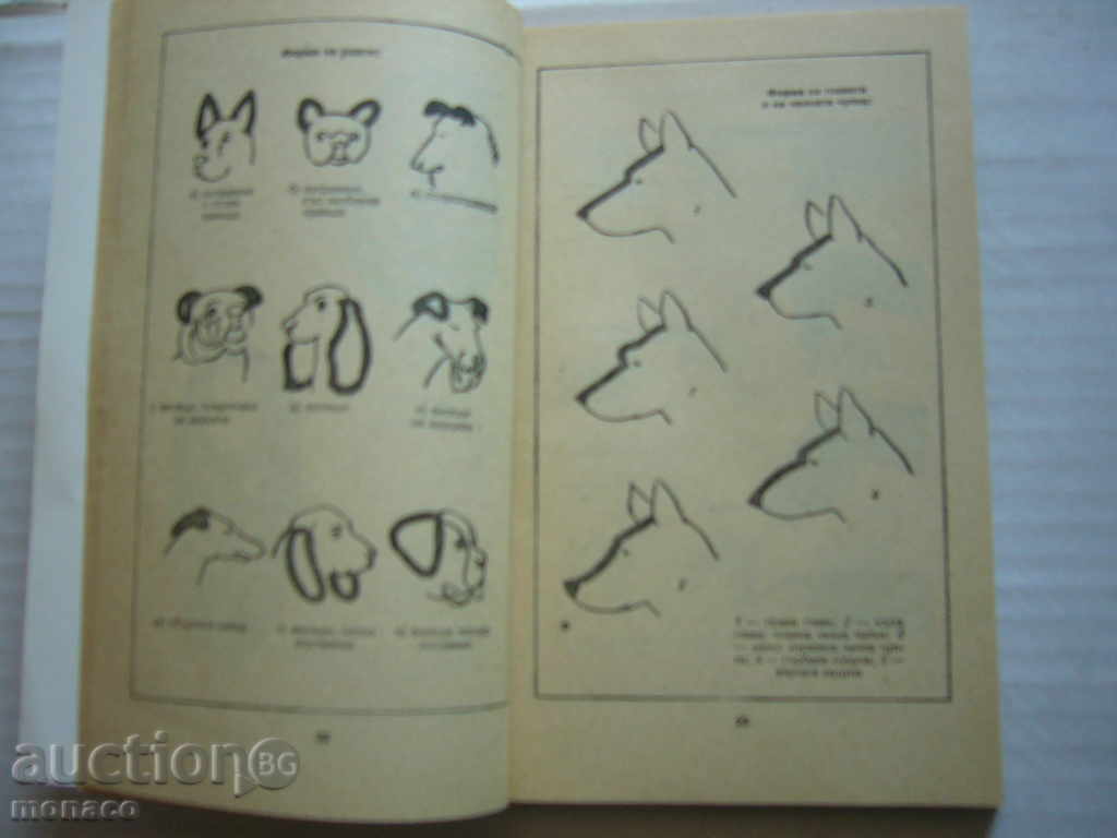 Auction Old book - Jozef Hayash and others, Bobby - a hobby Auction Old book - Jozef Hayash and others, Bobby - a hobby