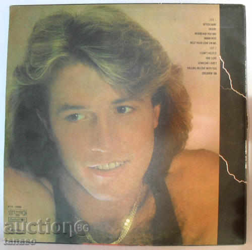 Стара грамофонна плоча - Andy Gibb - After Dark с цена € 9.00 | 17.60 лв.