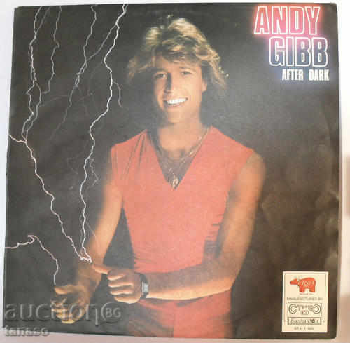 Стара грамофонна плоча - Andy Gibb - After Dark