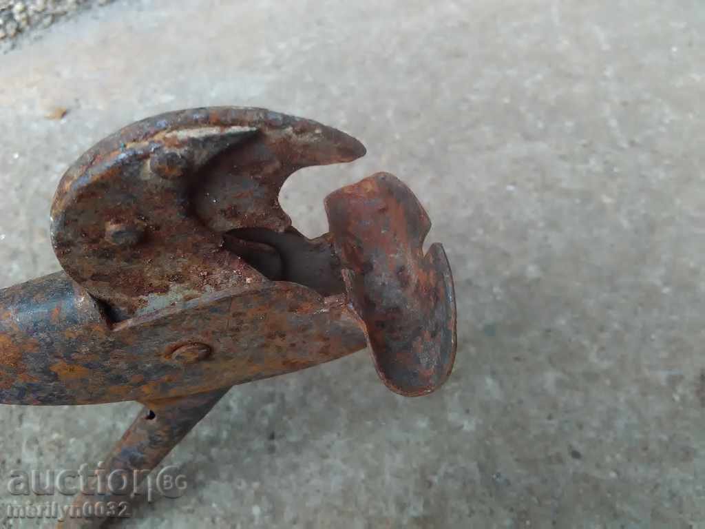 Delivery of Profiled pliers for bergamon tube early wounds, Bulgaria Delivery of Profiled pliers for bergamon tube early wounds, Bulgaria