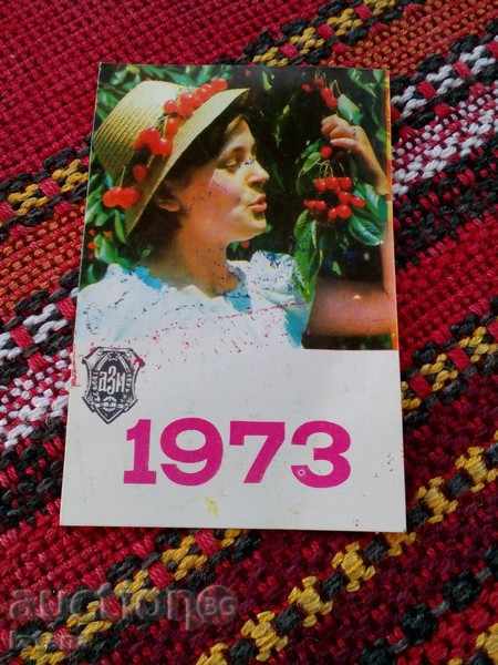 Календарче ДЗИ 1973