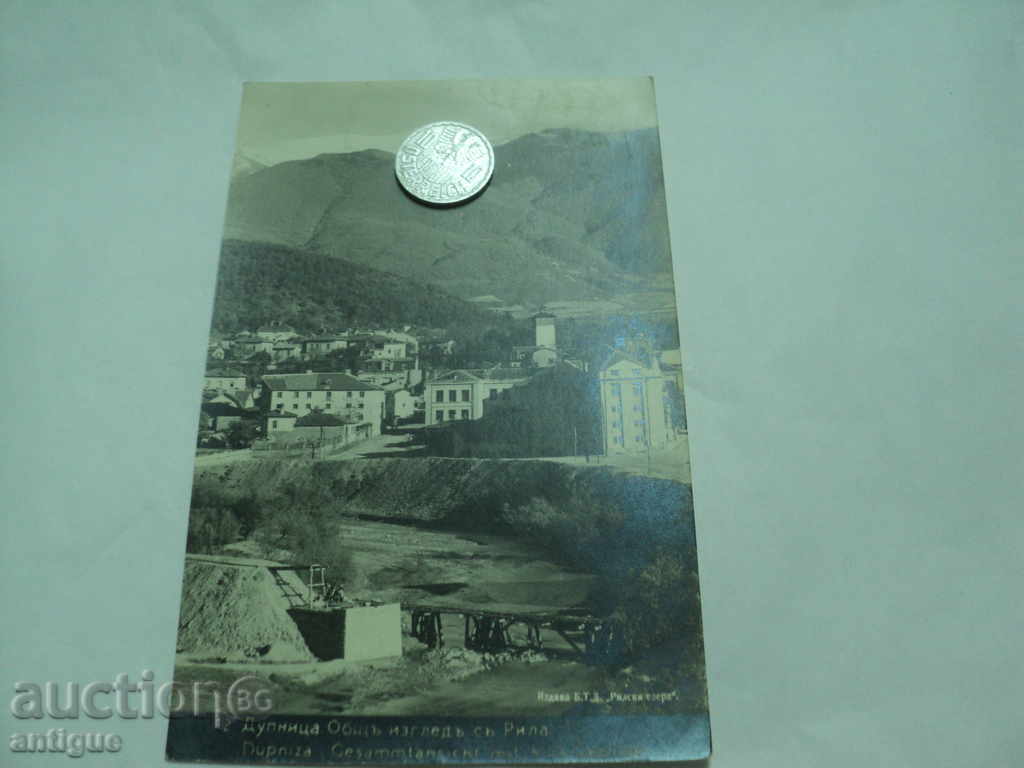 Auction DUPNICA-GENERAL VIEW. Auction DUPNICA-GENERAL VIEW.