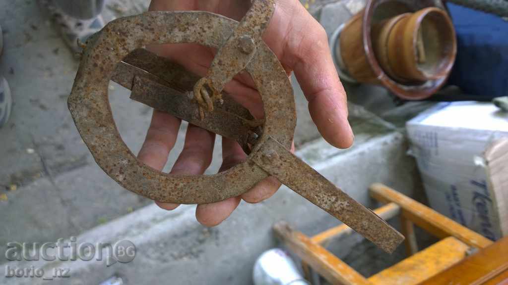 Delivery of 8208. STAR COVEN CAPPAL SMALL