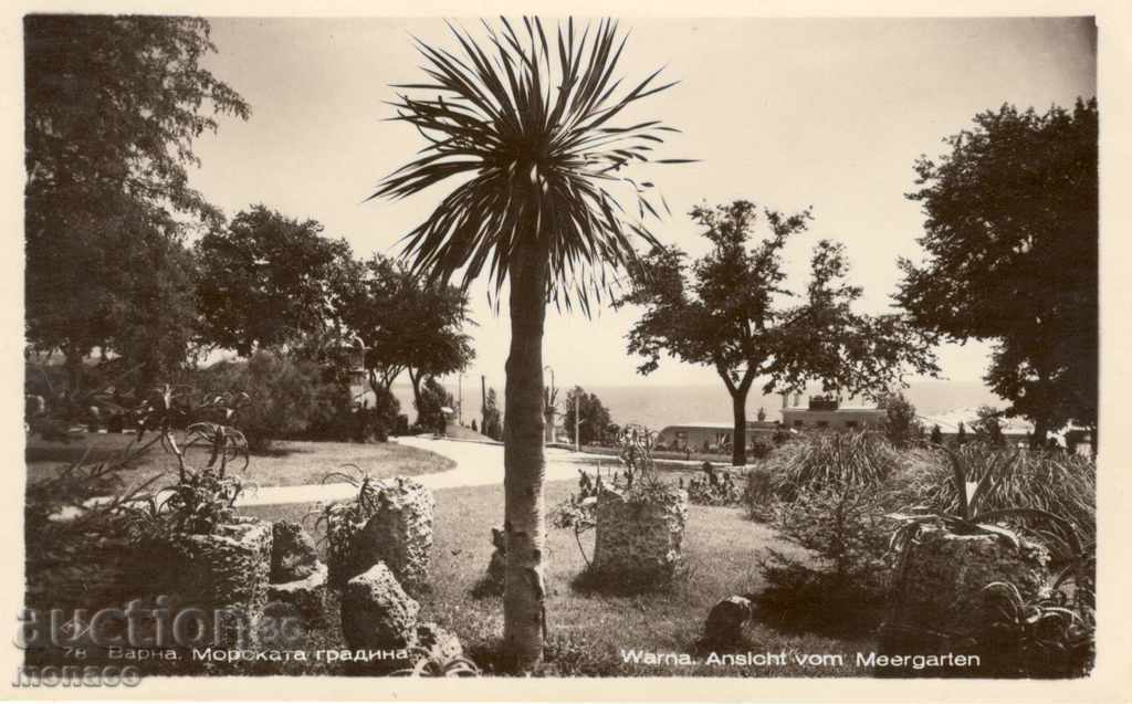 Antique postcard - Varna, Sea Garden