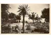 Antique καρτ-ποστάλ - Βάρνα Sea Garden