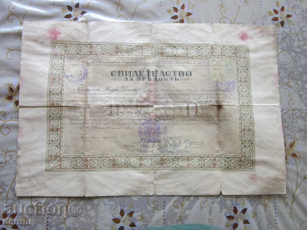 Old Document Diploma Certificate of Maturity 1925