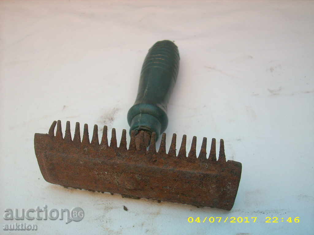 Delivery of STAR HORSE FOR HORSES, PRIMITIVE