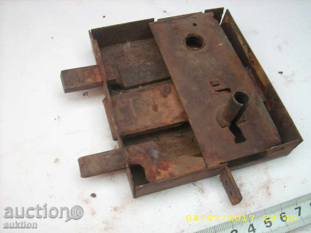 Delivery of STAR HORSES BRAVA