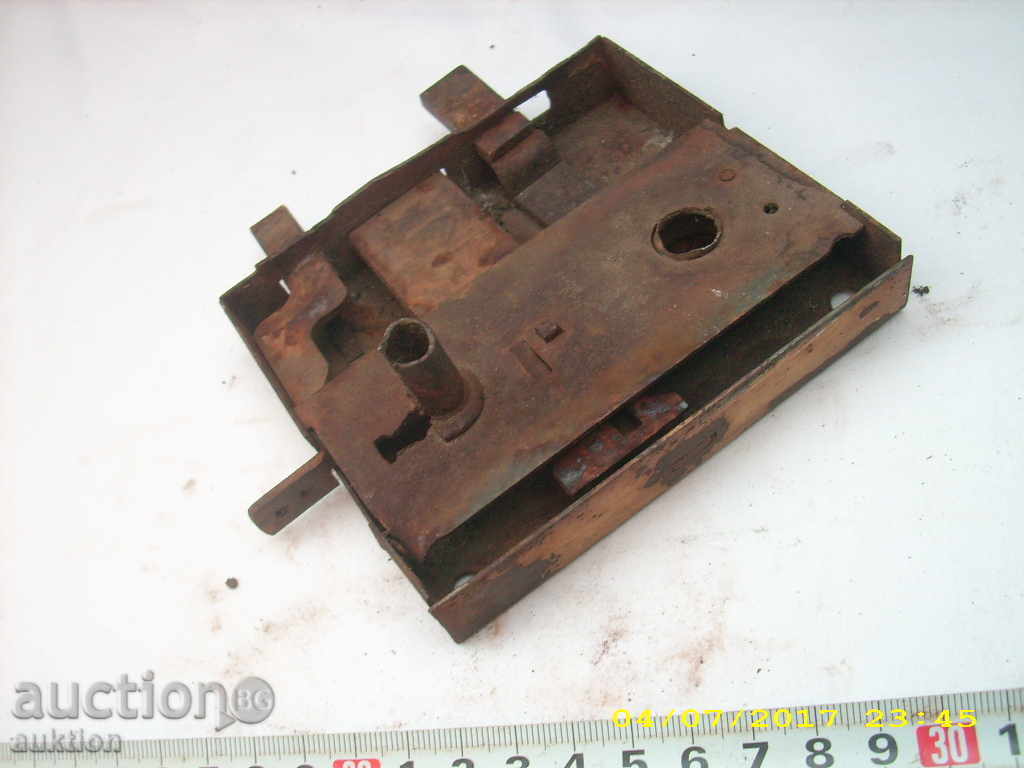 STAR HORSES BRAVA - 5