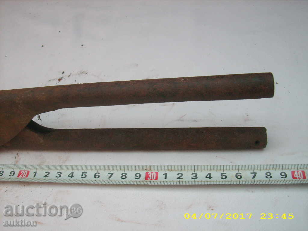 Auction OLD HORSES LOVING BIGGERS Auction OLD HORSES LOVING BIGGERS