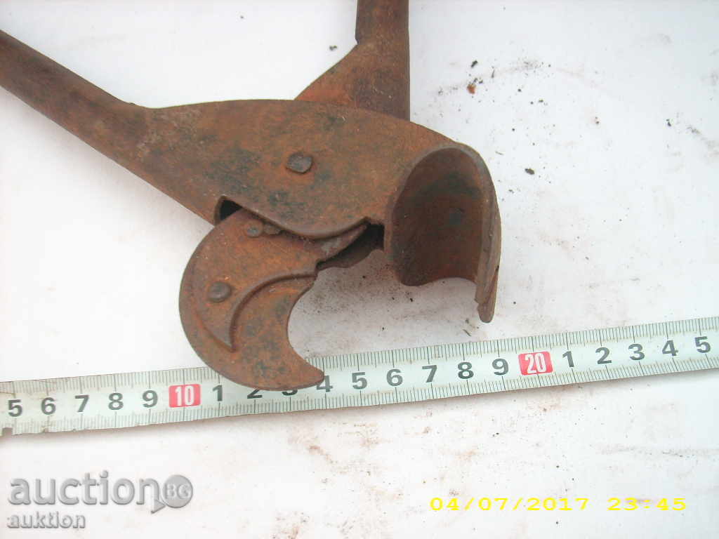 Delivery of OLD HORSES LOVING BIGGERS Delivery of OLD HORSES LOVING BIGGERS