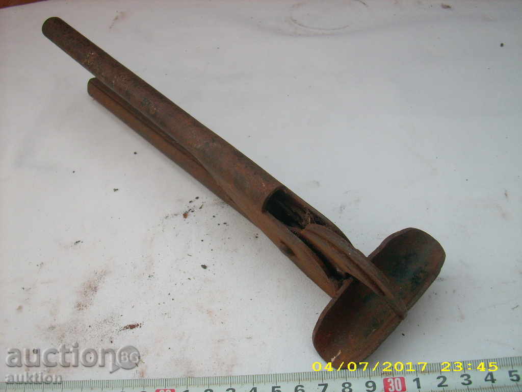 OLD HORSES LOVING BIGGERS - 6 OLD HORSES LOVING BIGGERS - 6