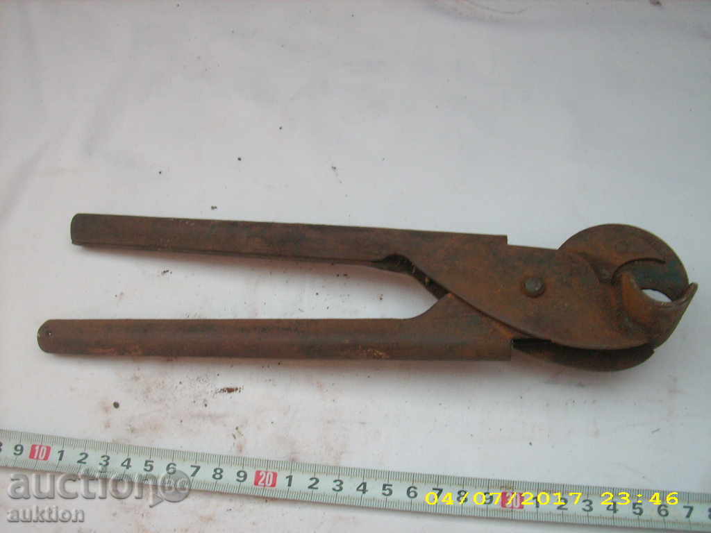 OLD HORSES LOVING BIGGERS - 7 OLD HORSES LOVING BIGGERS - 7