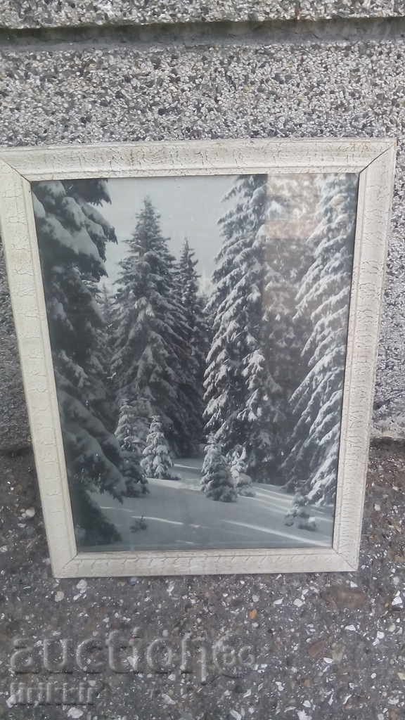 Picture frame Winter landscape