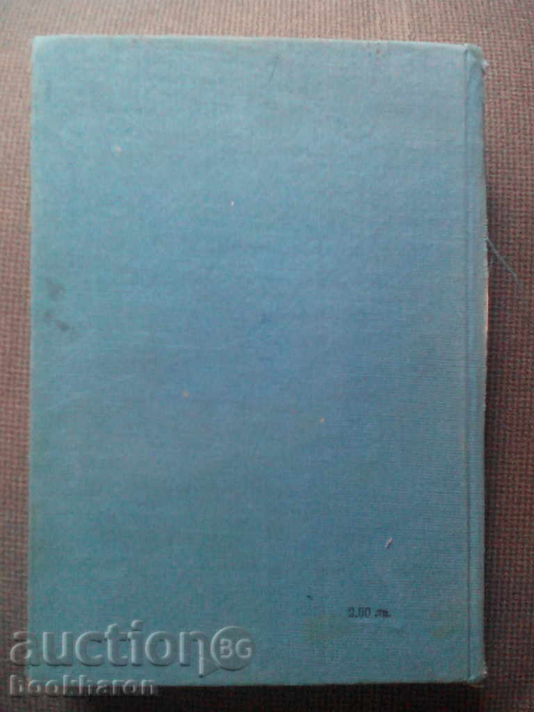 Auction  Jules Verne: Captain Grant's Children