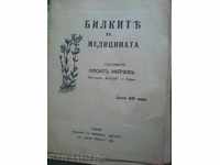 Herbs in Medicine. Vasil Neychev