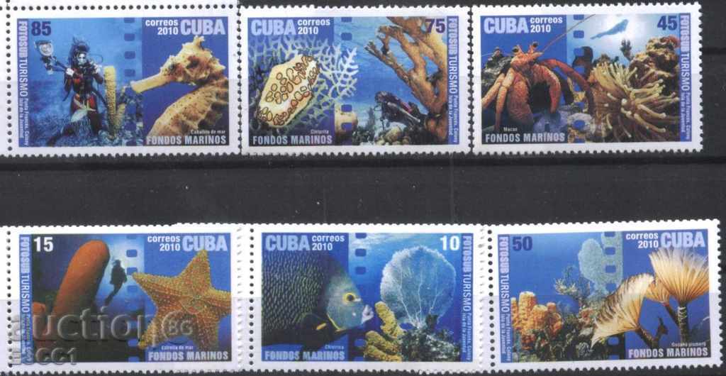 Чисти марки Морска Фауна 2010 Куба
