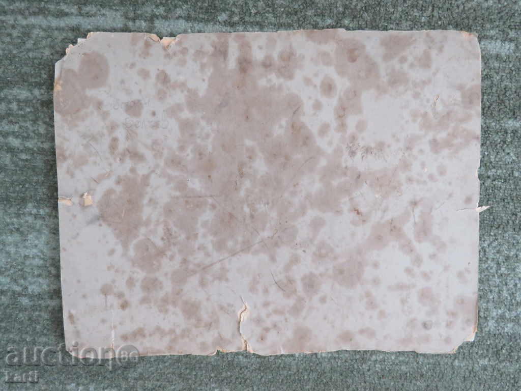 Auction OLD PHOTO - CARDBOARD - VERY LARGE Auction OLD PHOTO - CARDBOARD - VERY LARGE