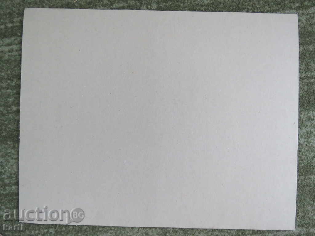 Delivery of STAR PHOTOGRAPHY - CARDON - VERY LARGE - SEASON - MACHINE Delivery of STAR PHOTOGRAPHY - CARDON - VERY LARGE - SEASON - MACHINE