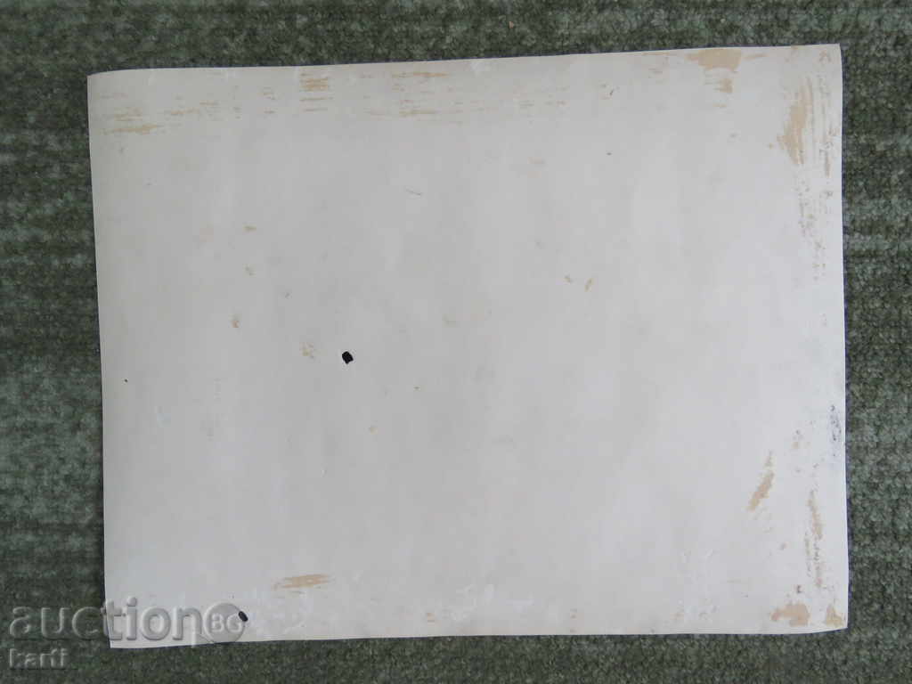 Auction OLD PHOTO - SAILOR - LARGE Auction OLD PHOTO - SAILOR - LARGE