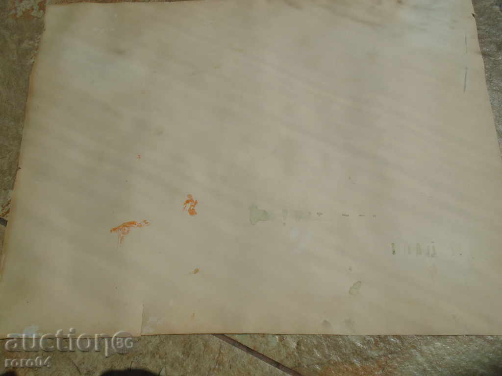 18 + STAR AQUAREL GOLO WOMEN / CHILD BODY - 7 18 + STAR AQUAREL GOLO WOMEN / CHILD BODY - 7