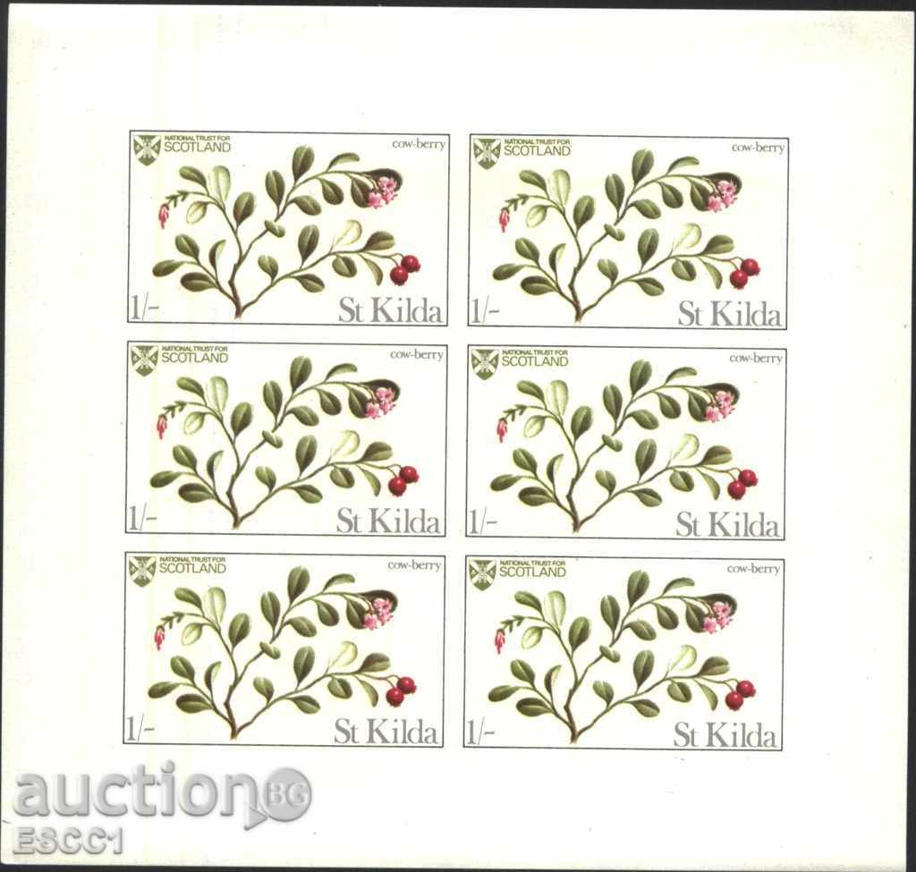 Pure Flowers Flora Flowers 1970 from Scotland St. Kilda with price 68.00 BGN | € 34.77 Pure Flowers Flora Flowers 1970 from Scotland St. Kilda with price 68.00 BGN | € 34.77