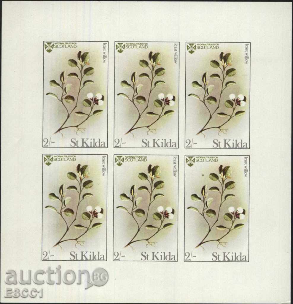 Delivery of Pure Flowers Flora Flowers 1970 from Scotland St. Kilda Delivery of Pure Flowers Flora Flowers 1970 from Scotland St. Kilda