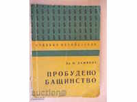 Book "Awakened Fatherhood - Tsonyu Damyanov" - 104 pp.