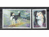 1994. Νήσων Φερόε. Τσοπανόσκυλα.
