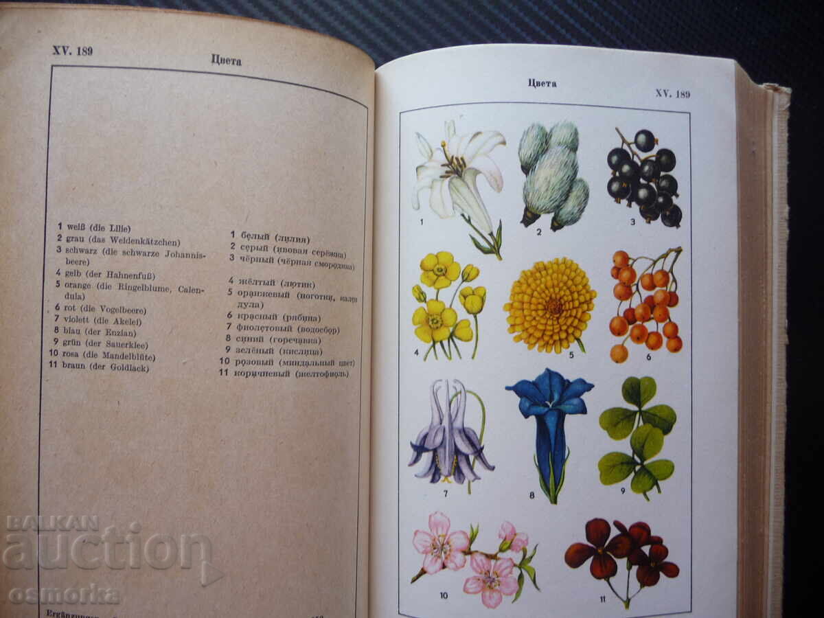 Delivery of German-Russian dictionary in pictures rare Bild-Worterbuch Delivery of German-Russian dictionary in pictures rare Bild-Worterbuch