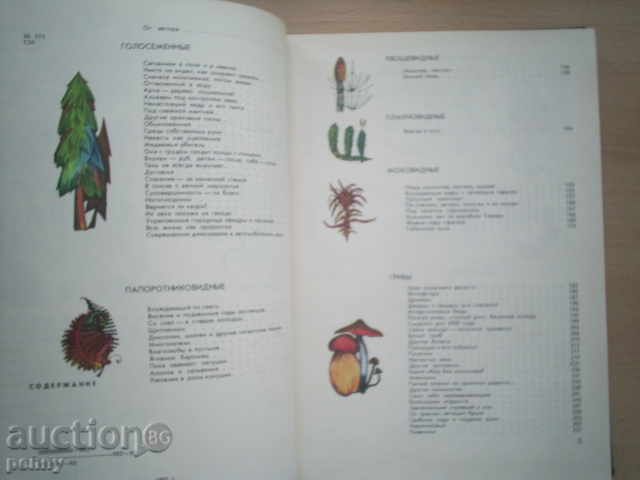 Auction  MIR RASTENI-ALEKSEY SMIRNOV