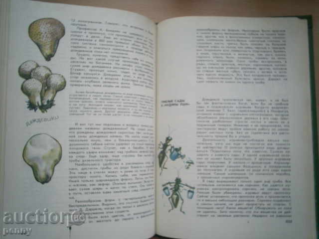 MIR RASTENI-ALEKSEY SMIRNOV - 5