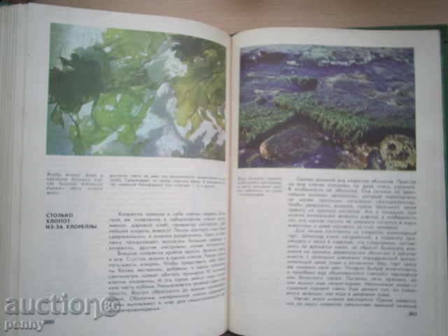 MIR RASTENI-ALEKSEY SMIRNOV - 6