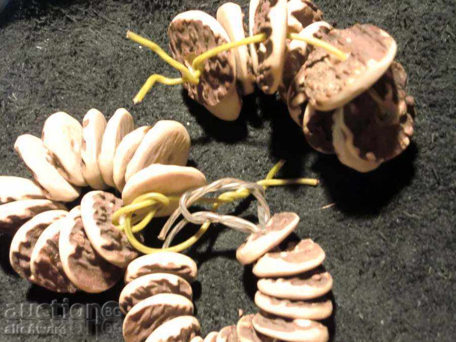 Δημοπρασία Κουμπιά για στολές ΚΥΝΗΓΙΟΥ ελαφόκερων Δημοπρασία Κουμπιά για στολές ΚΥΝΗΓΙΟΥ ελαφόκερων