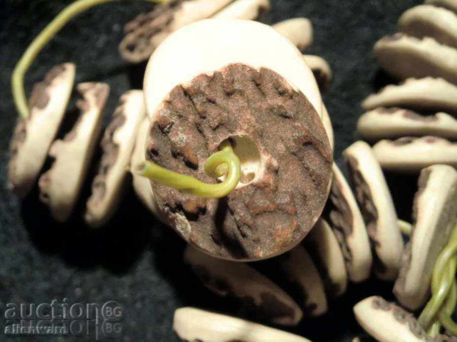 Κουμπιά για στολές ΚΥΝΗΓΙΟΥ ελαφόκερων - 6 Κουμπιά για στολές ΚΥΝΗΓΙΟΥ ελαφόκερων - 6