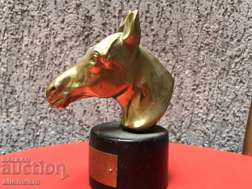 Bronze goat head with inscription label! with price 166.00 BGN | € 84.87 Bronze goat head with inscription label! with price 166.00 BGN | € 84.87