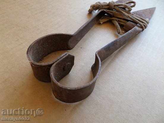 Old scissors for trimming animals - 5 Old scissors for trimming animals - 5