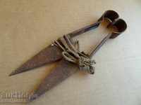 Old scissors for trimming animals