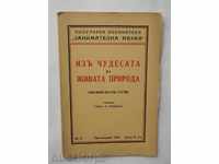 Iza θαύματα της ζωής της φύσης - Τ A.Tomov 1941
