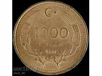 1000 pounds 1993 - Turkey