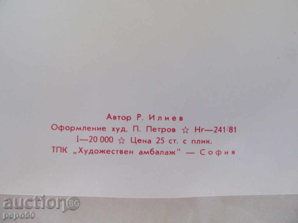 Auction  NEW YEAR CARD WITH PICTURE AND BRAND - 1981