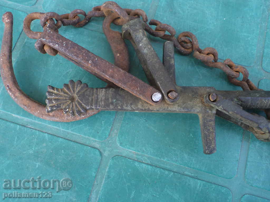 SCALE-Cherry - 7 SCALE-Cherry - 7