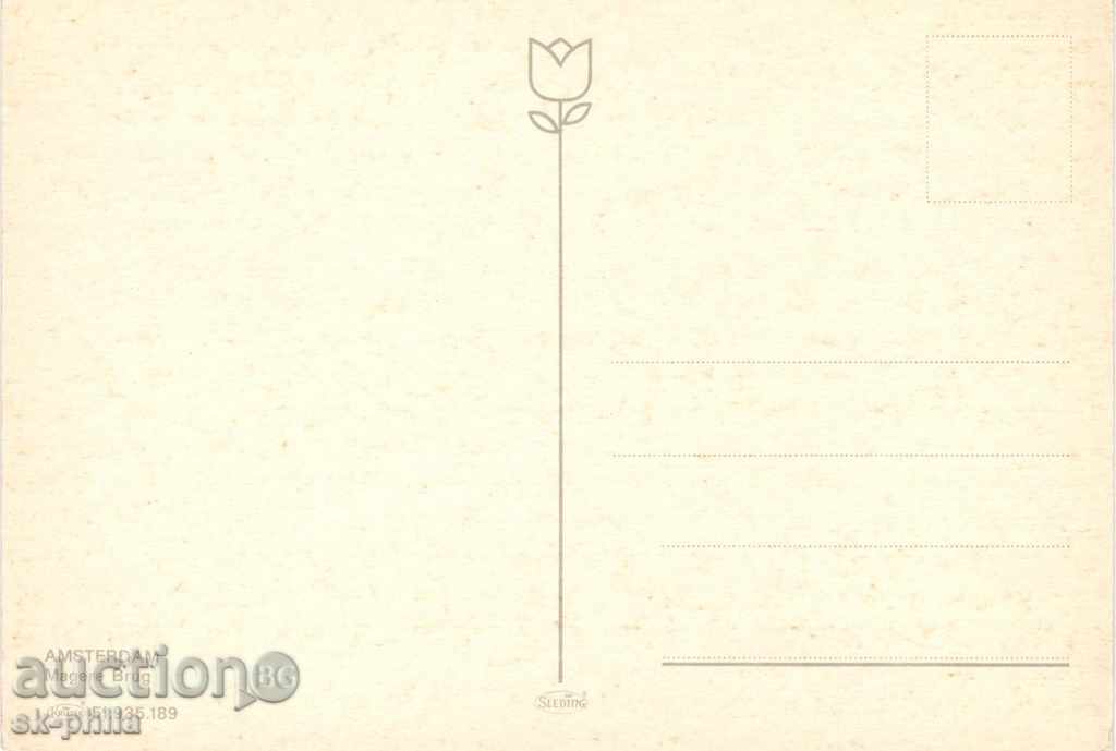 Postcard - Amsterdam - River ships with price 1.00 BGN | € 0.51 Postcard - Amsterdam - River ships with price 1.00 BGN | € 0.51