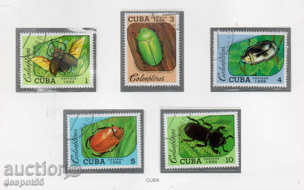 1988. Cuba. Beetles.